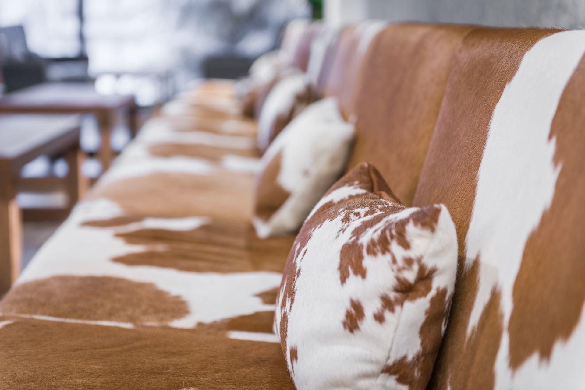 Animal printed sofa in restaurant interior